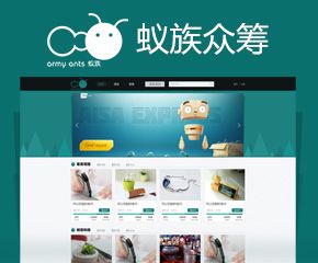 蟻族眾籌網案例